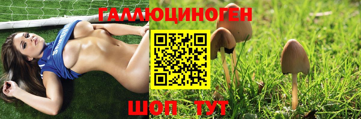 Псилоцибиновые грибы Psilocybe Кстово